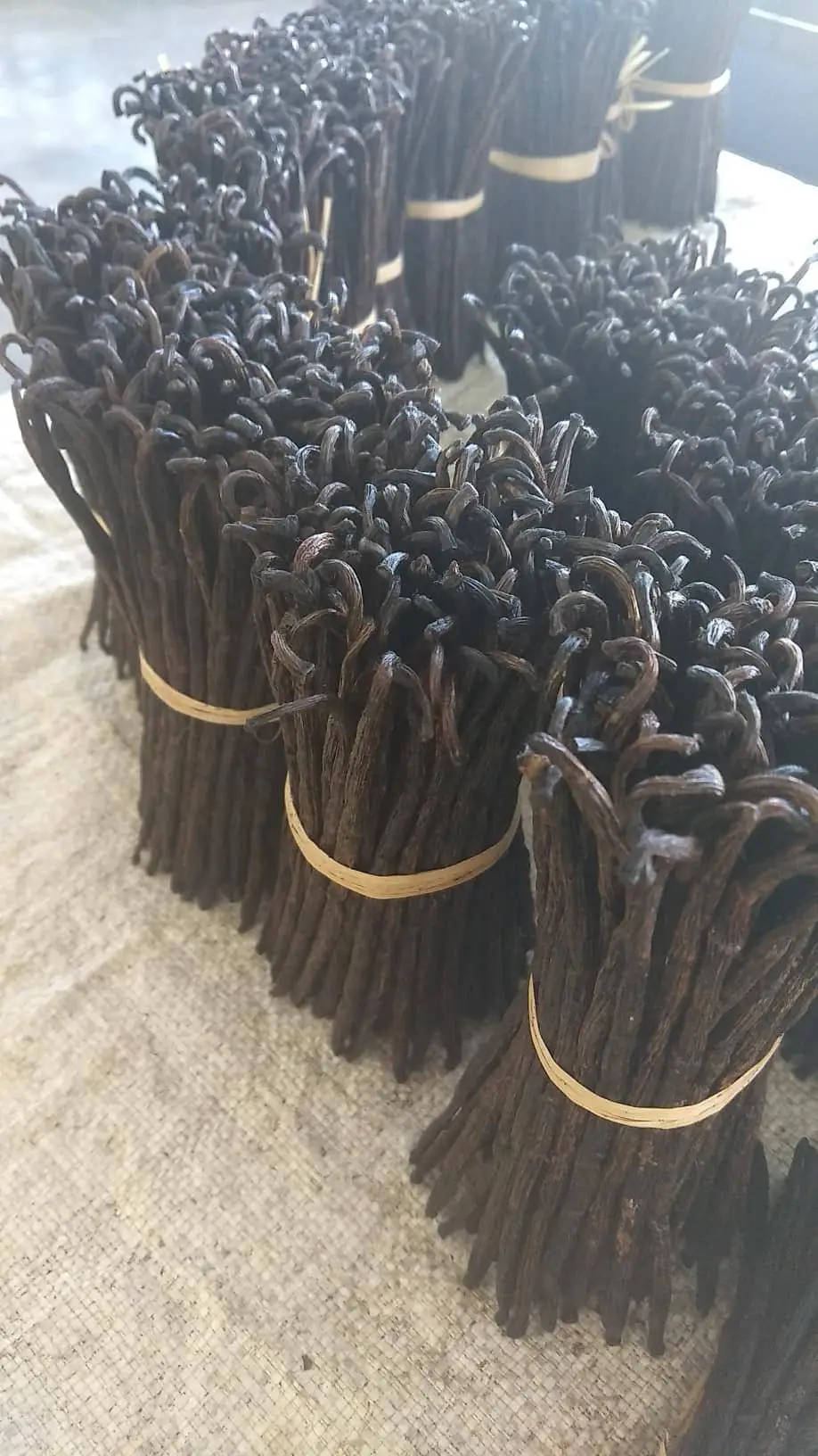 Madagascar  vanilla beans