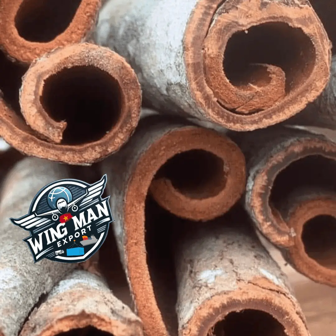 CASSIA WHOLE - CASSIA Tube ( A, B, C )