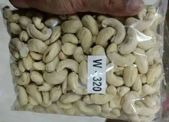 100% natual cashew nuts high quality