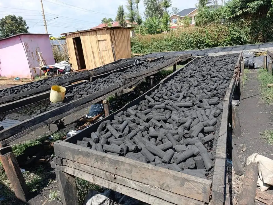 Charcoal briquettes