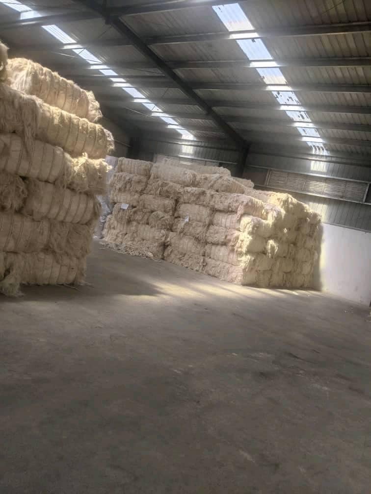 natural sisal fiber