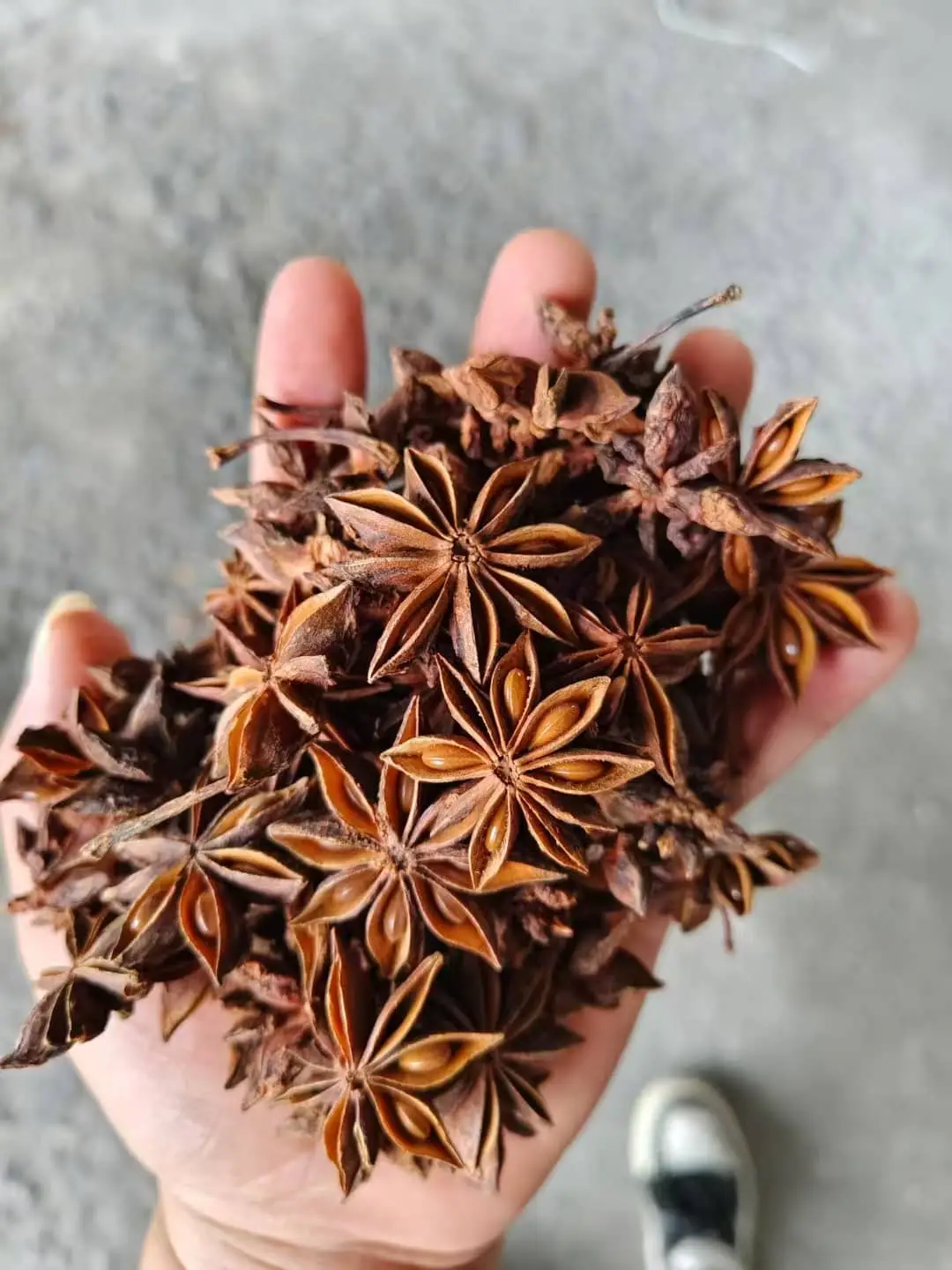 star anise