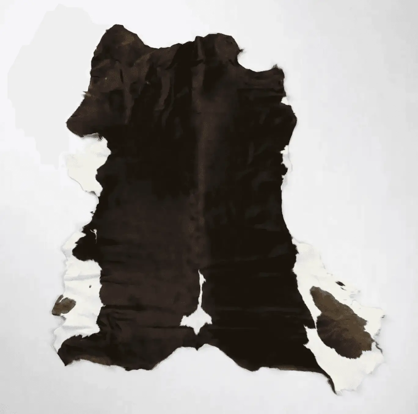 High Quality wet Salted Hides and Skins