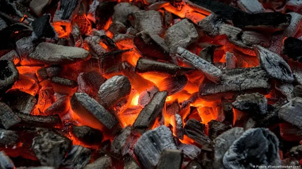 Charcoal briquettes