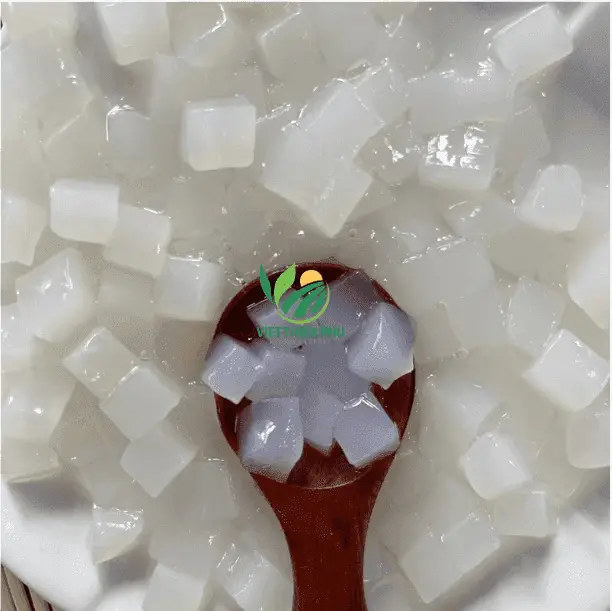 Nata de coco Coconut Jelly from Viet Nam