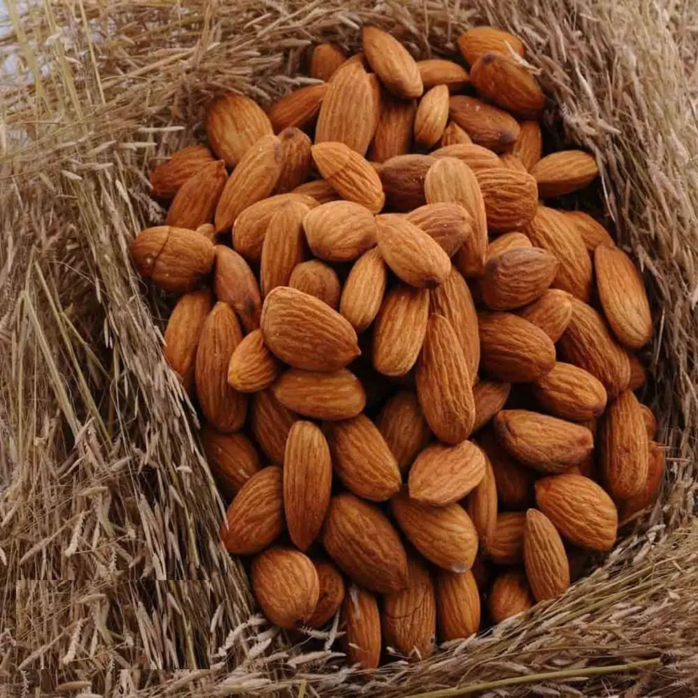 Sweet Whole Almond Nuts