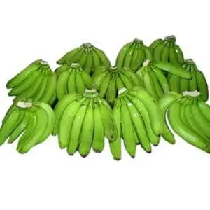 Cavendish Banana (Musa acuminata Cavendish Subgroup)