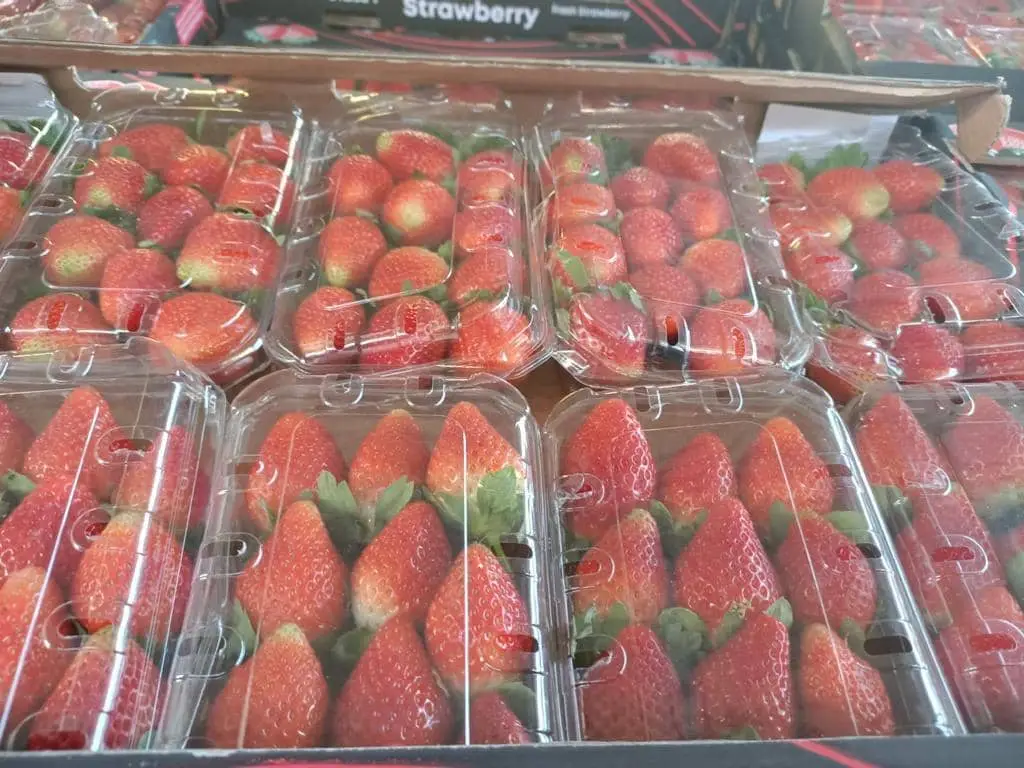 Strawberry