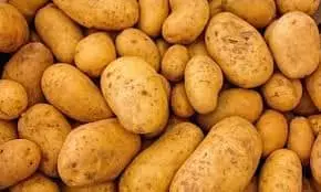 POTATOES
