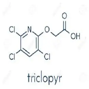 Triclopyr