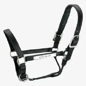 Horse-Halter