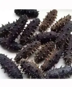 Frozen and Dried Sea cucumber