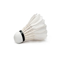 Shuttle Cock