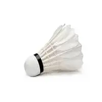 Shuttle Cock
