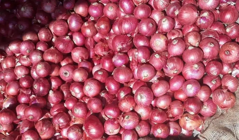 Red Onions