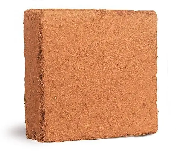 Coco Peat