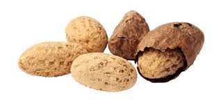 Kola nut