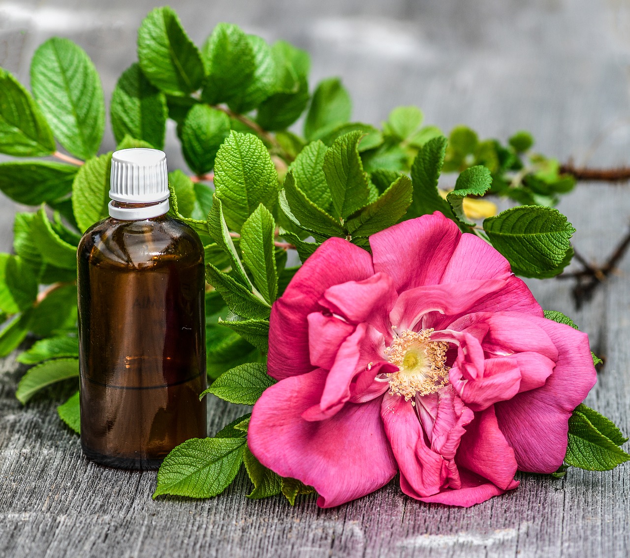 Rose Oil