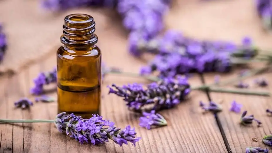 Lavender Oil