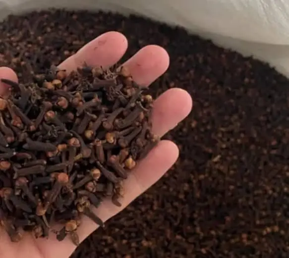 Dried Cloves