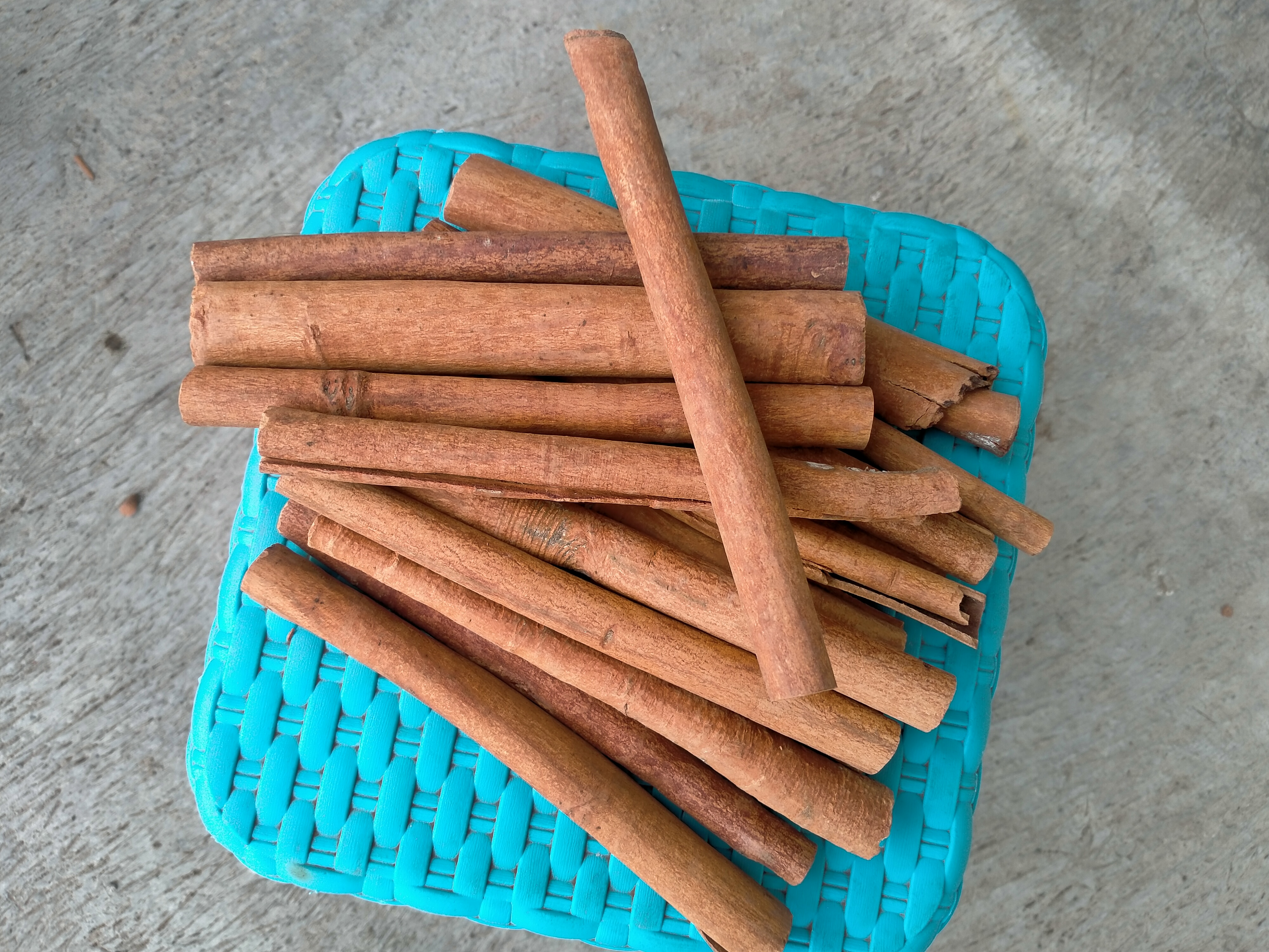 Korintje Cassia Cinnamon