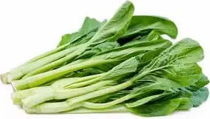 Fresh Choy Sum – Malaysia Wholesale Supplier