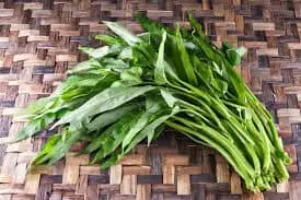 Fresh Kangkung (Water Spinach) – Malaysia Wholesale Supplier