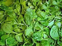 Fresh Spinach – Malaysia Wholesale Supplier