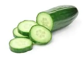 Fresh Cucumber – Malaysia Wholesale Supplier