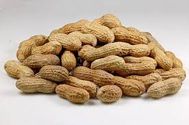 Fresh Peanuts – Malaysia Wholesale Supplier