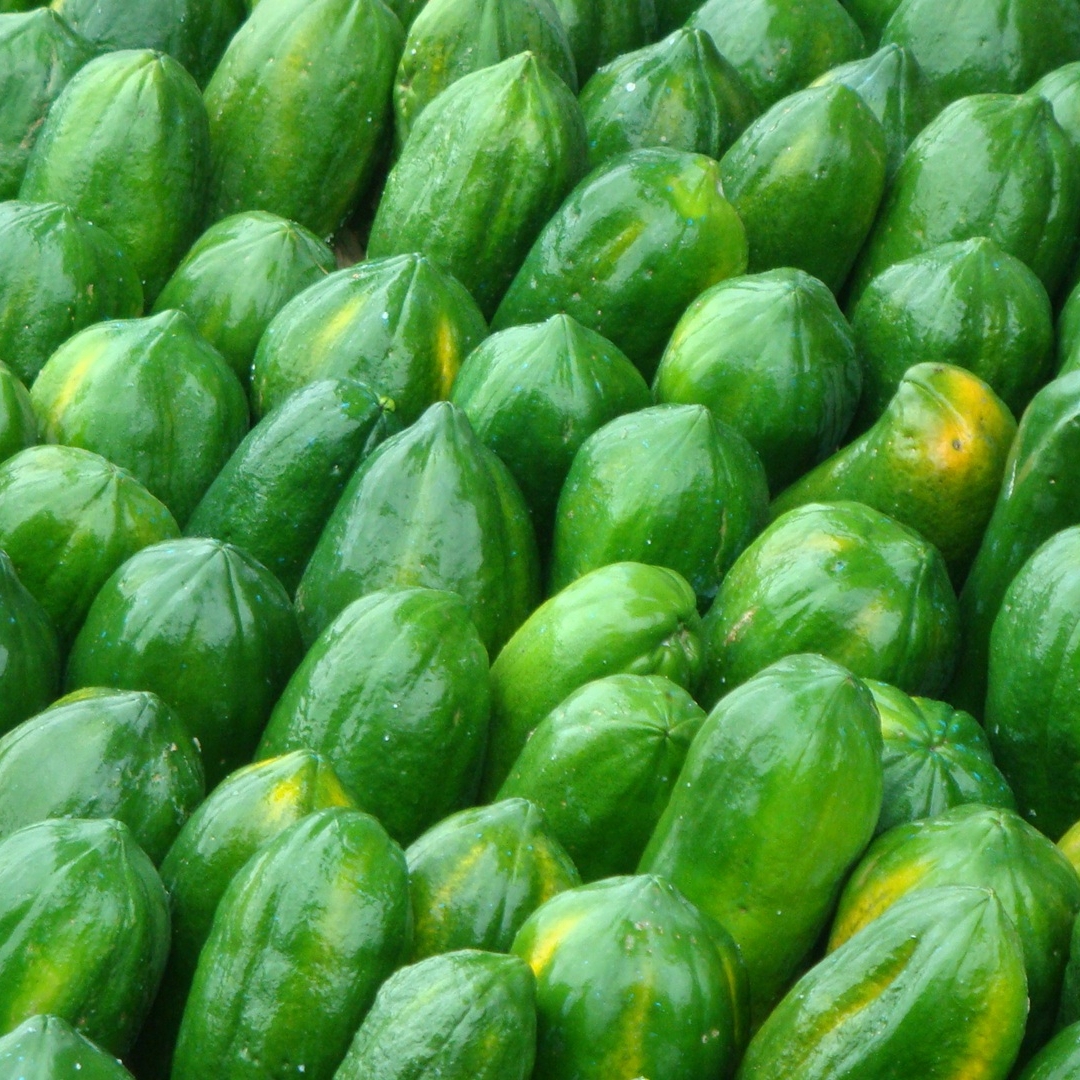 PaPaya