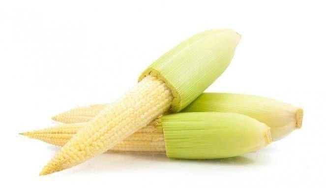 Fresh Baby Corn (Unpeeled) / Jagung Bunga – Malaysia Wholesale Supplier