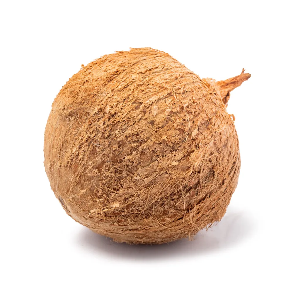 Fresh Old Coconut – Malaysia Wholesale Supplier