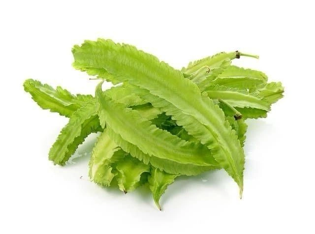 Fresh Winged Bean – Malaysia Wholesale Supplier
