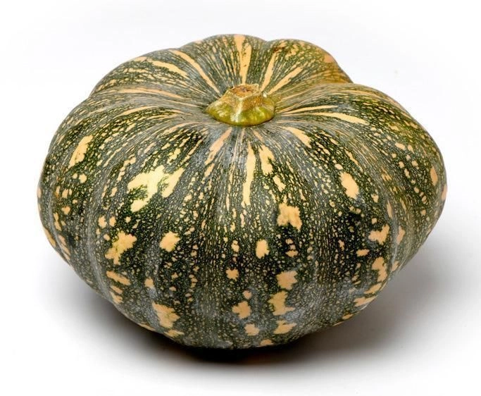 Fresh Pumpkin – Malaysia Wholesale Supplier