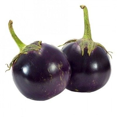 Fresh Round Eggplant – Malaysia Wholesale Supplier