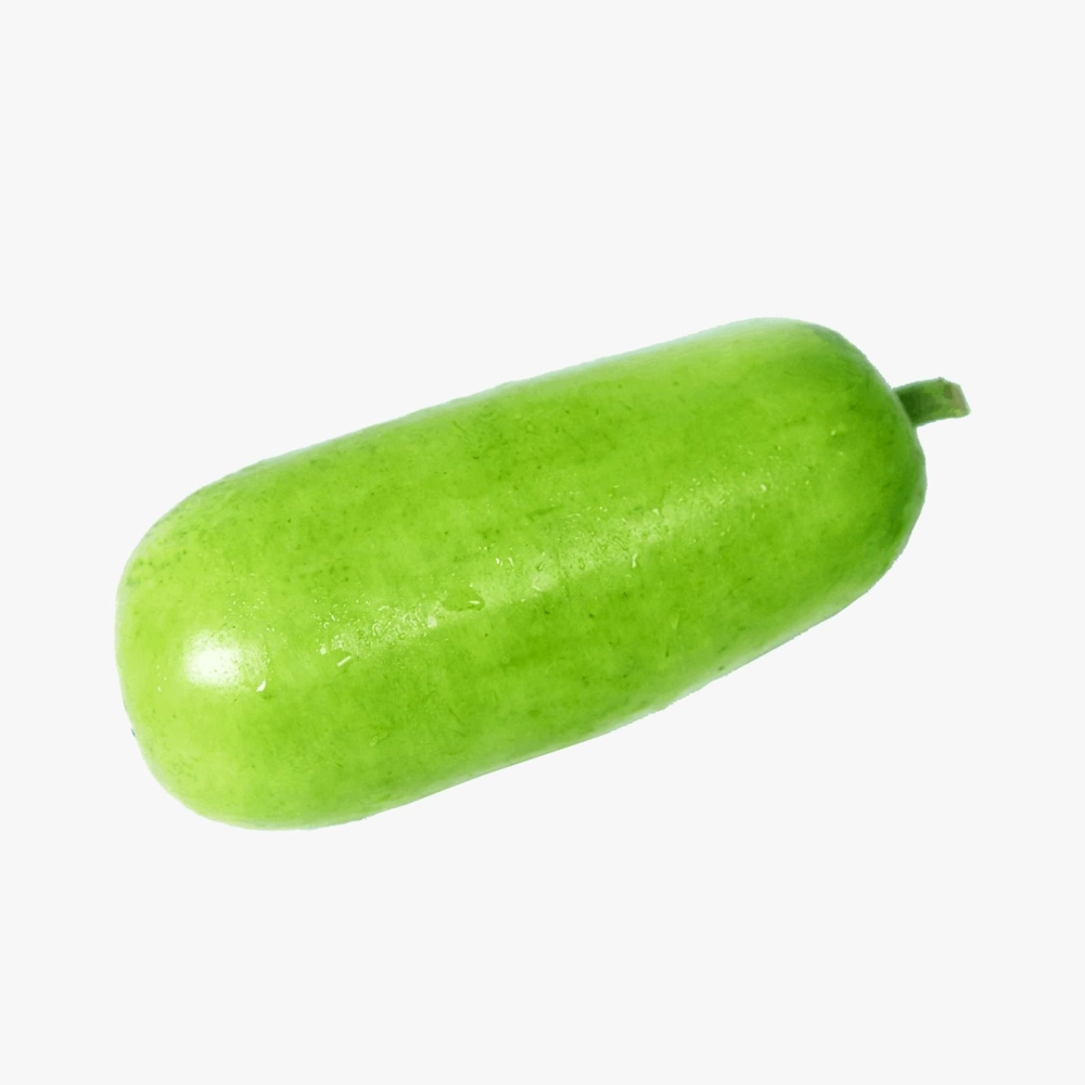 Fresh Marrow – Malaysia Wholesale Supplier