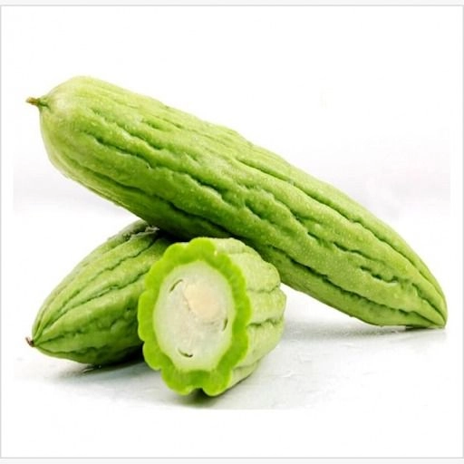 Fresh Bittergourd – Malaysia Wholesale Supplier