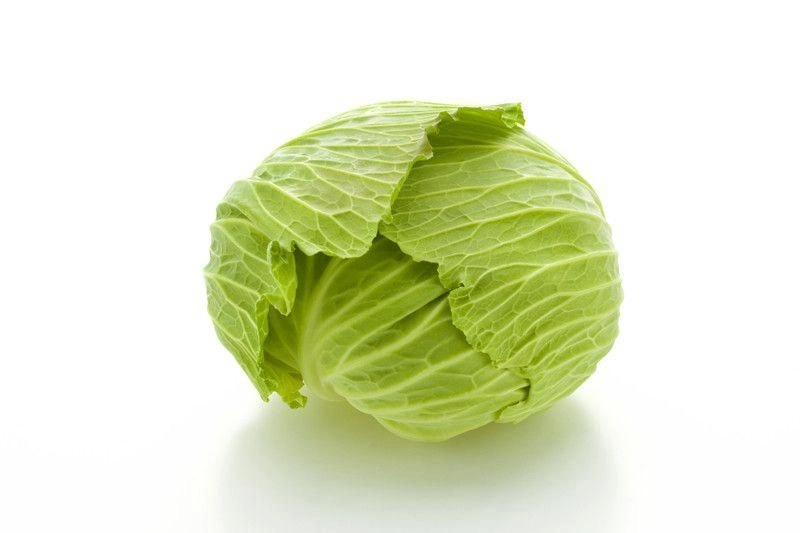 Cabbage