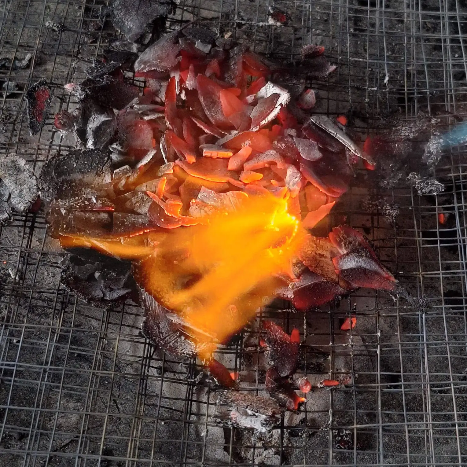 Coconut Charcoal