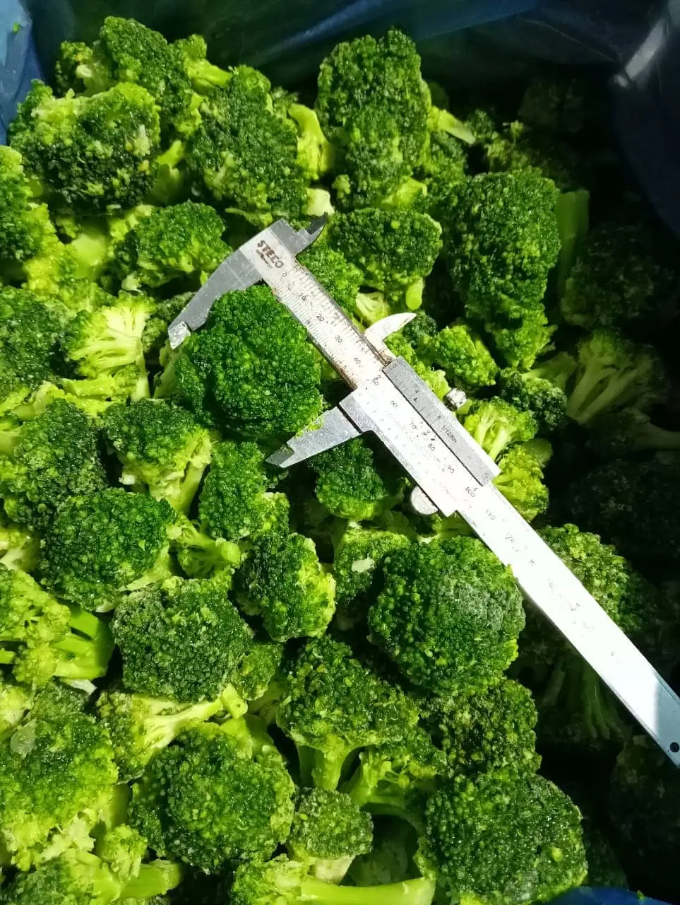 Broccoli