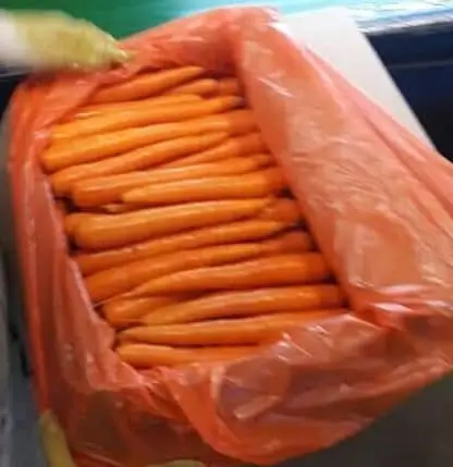Carrot