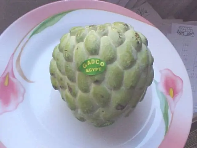 Custard Apple