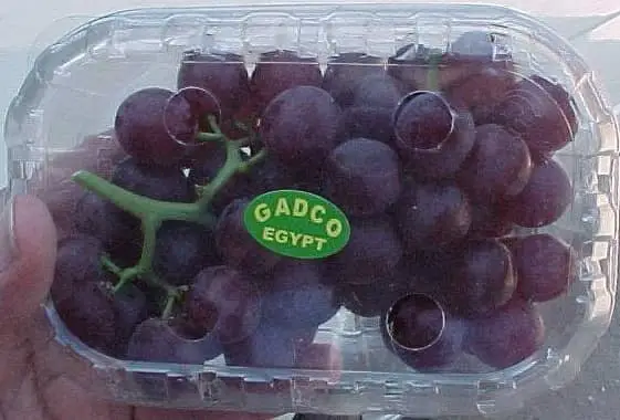 Grapes