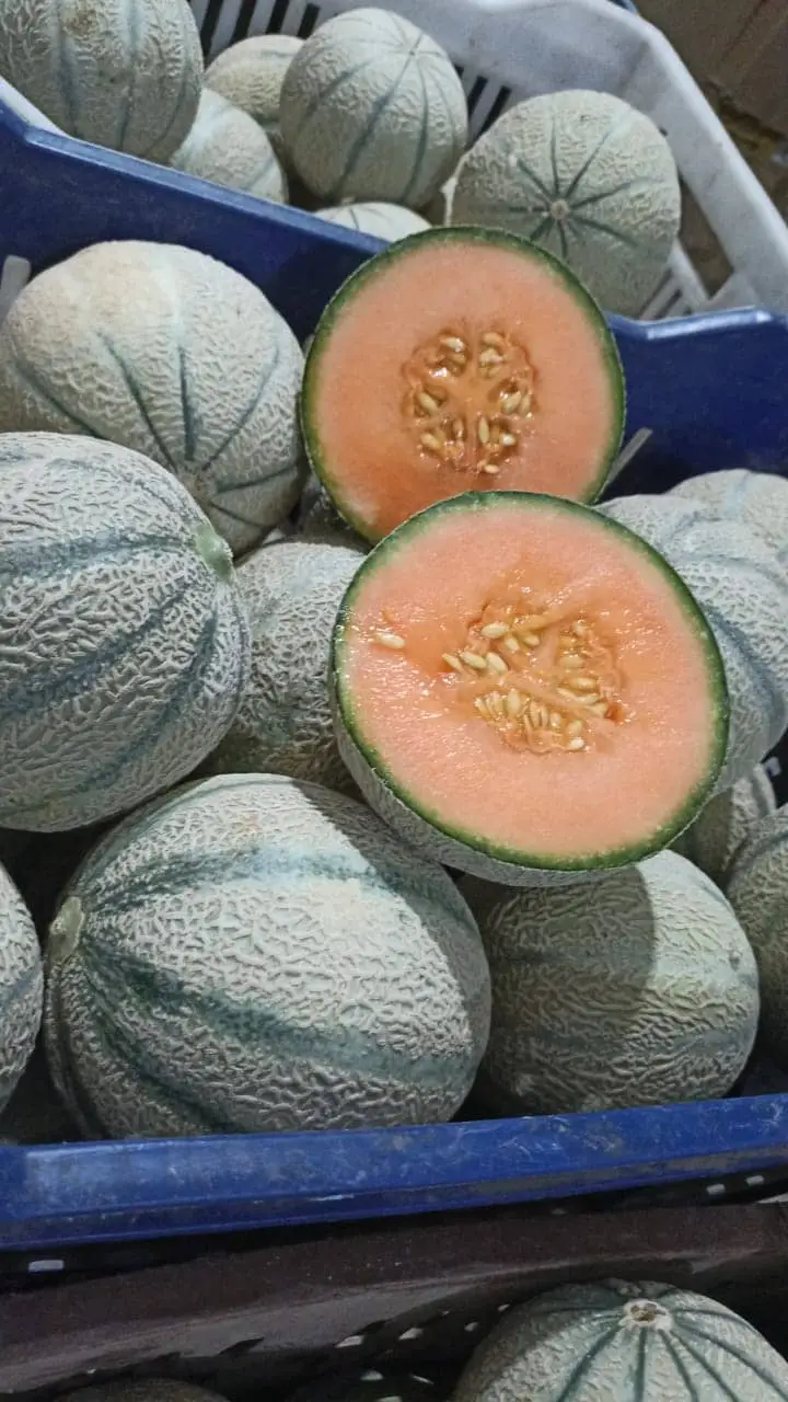 Melons
