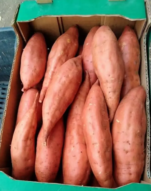 Sweet Potatoes
