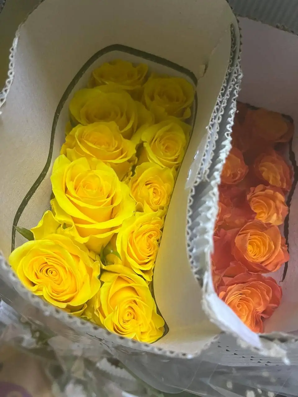 Orange & Yellow Rose