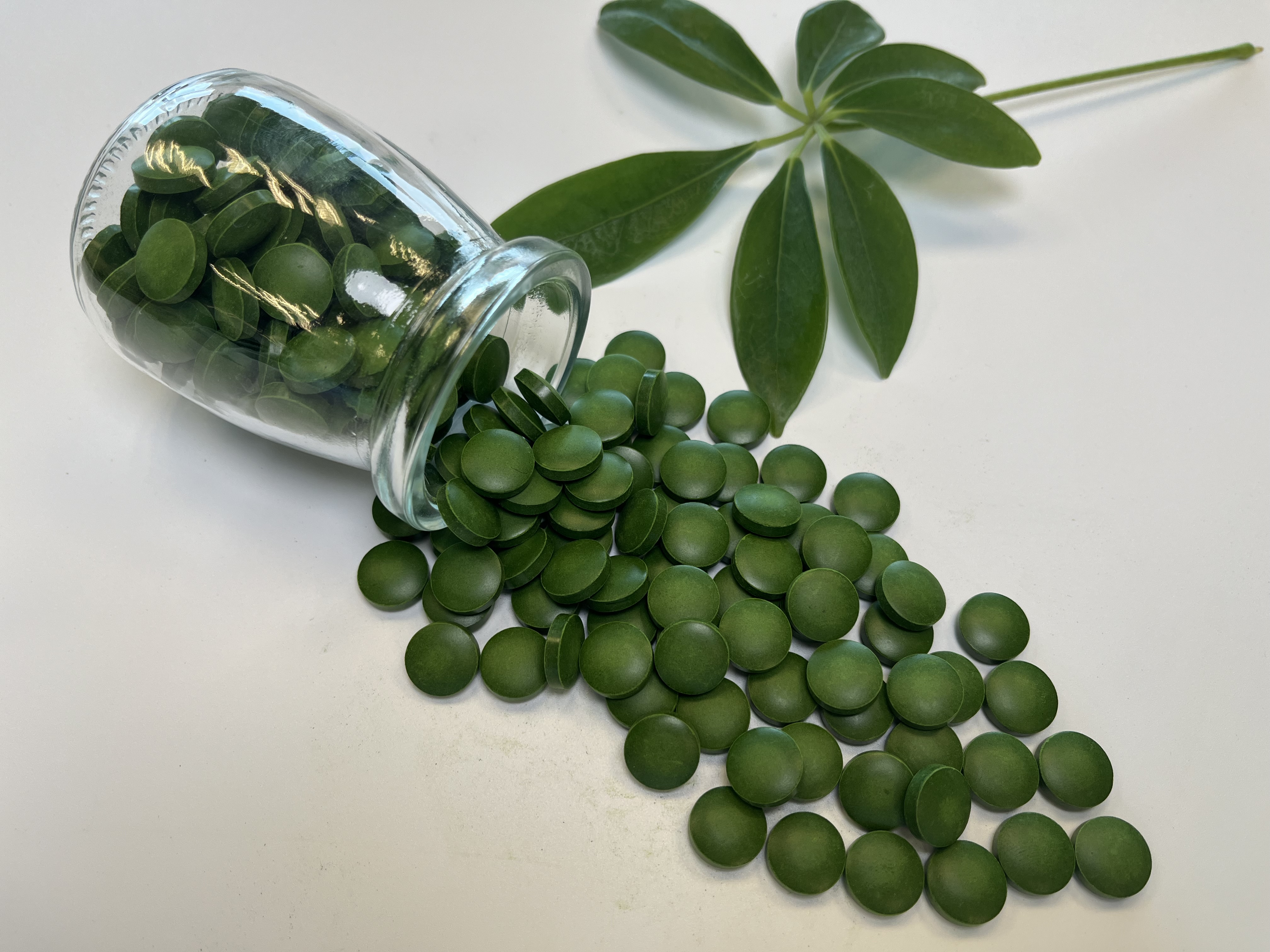 Chlorella Tablets (Organic Chlorella Tablets)