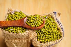 Green Mung Bean