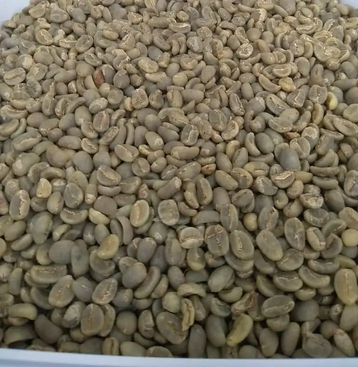 SUMATERA ARABICA COFFEE BEAN